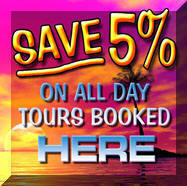 Save on your tour bookings with us